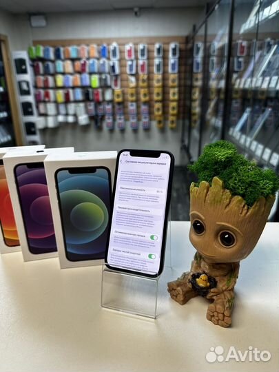 iPhone 12 mini, 256 ГБ