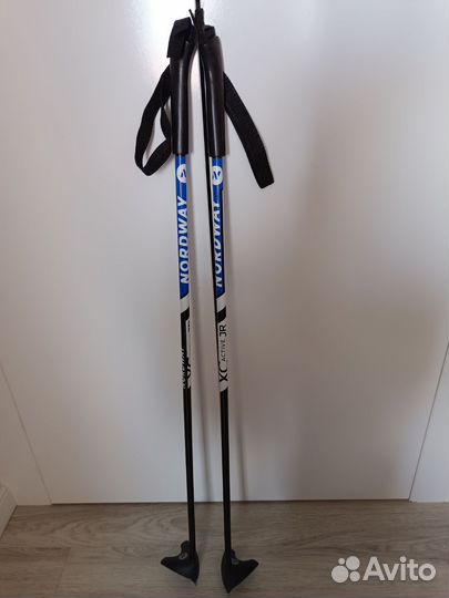 Лыжные палки