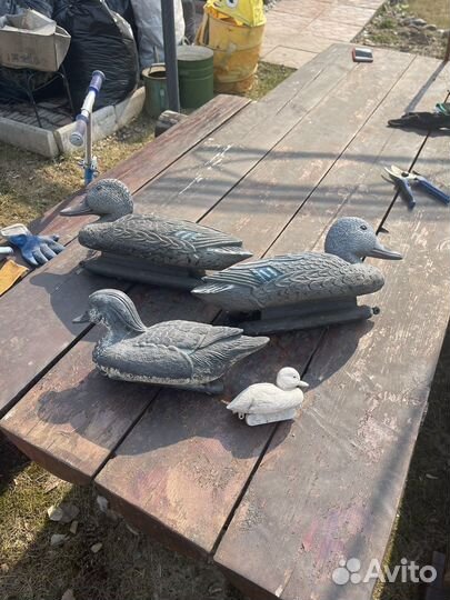 Подсадные утки