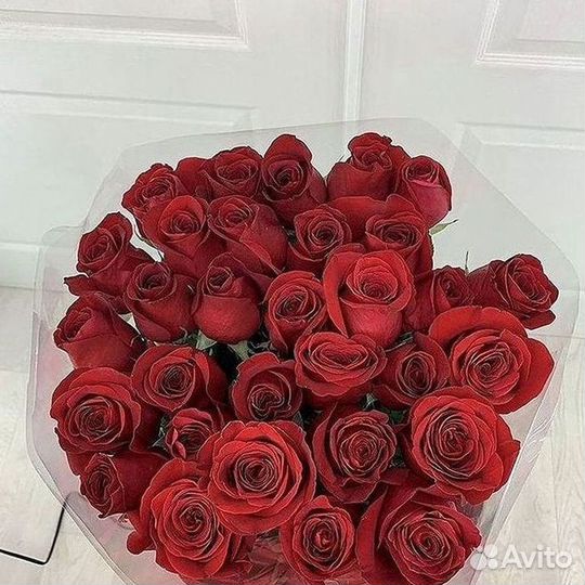 Розы гиганты 140 150 160 170 180 200
