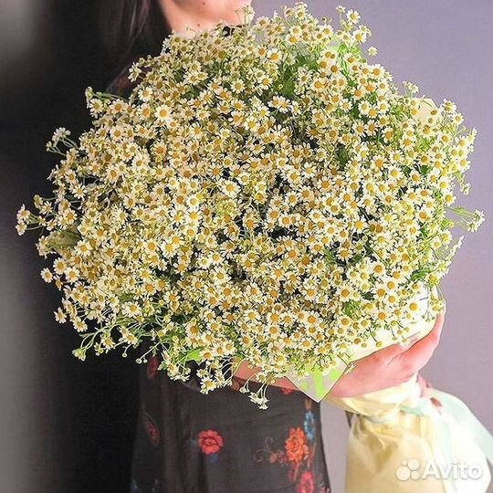 Ромашки Пионы Розы Доставка