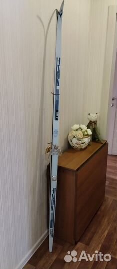 Беговые лыжи