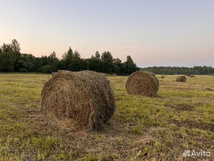 Ролоны сена
