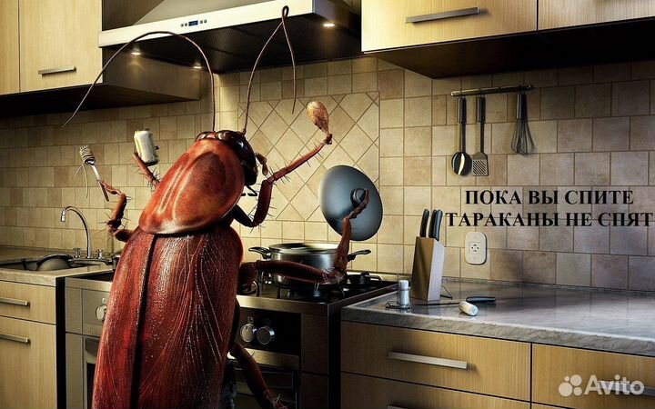 Уничтожение тараканов гелем