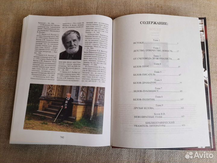 Книга Белов Штрихи Великой Жизни