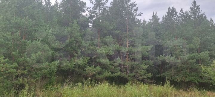 Участок 4 га (ИЖС)