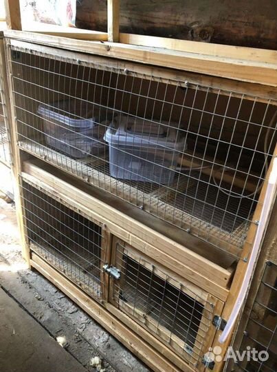 Клетка для домашней птицы