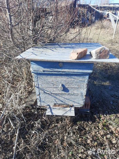 Улий для пчел