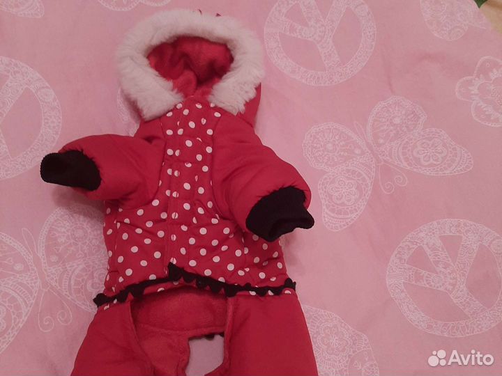 Комбинезон для маленьких собак