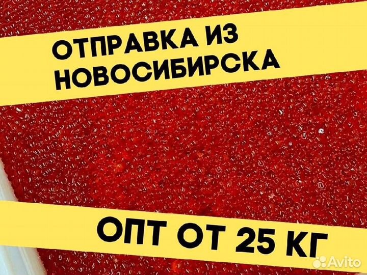 Красная икра кеты