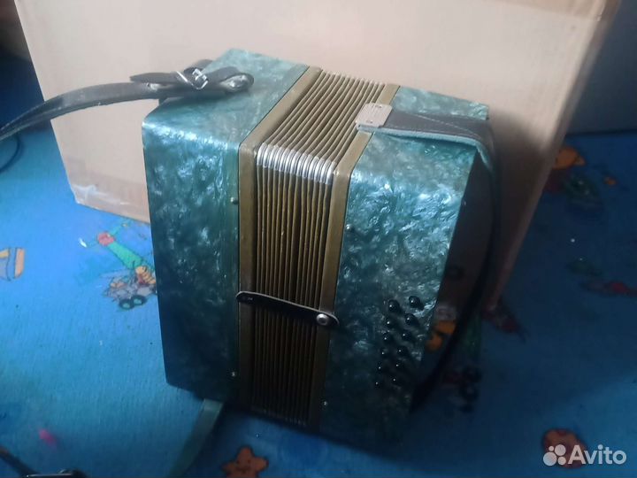 Баян вологодский