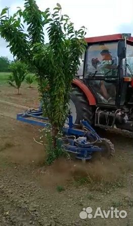 Фреза приствольная