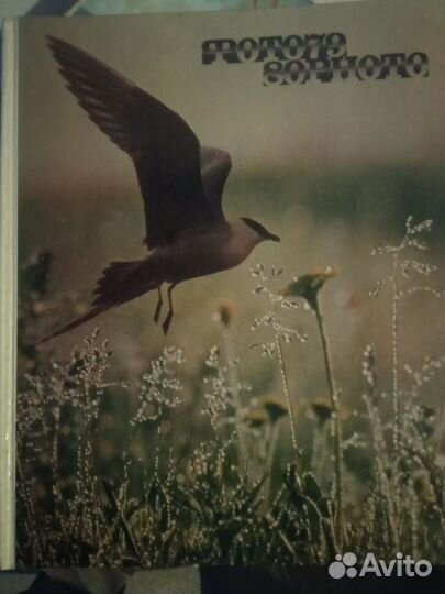 Фотоальбом СССР