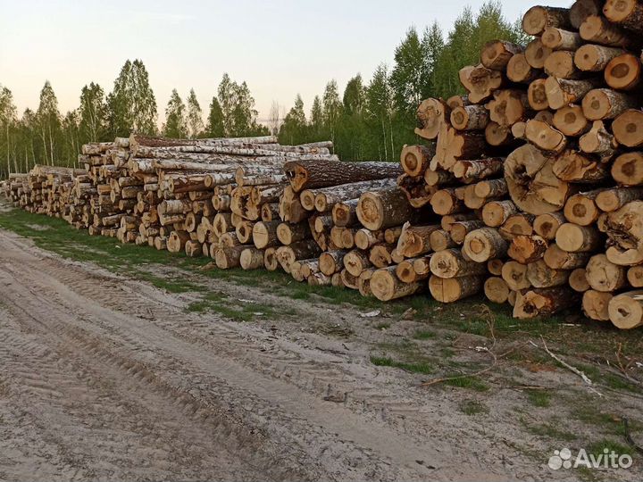 Лес кругляк пиловочник хвоя