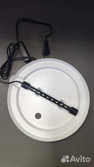 Аквариумы в форме шара