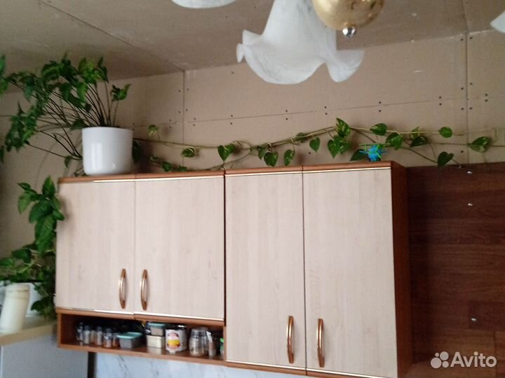 Эпипремиум золотистый