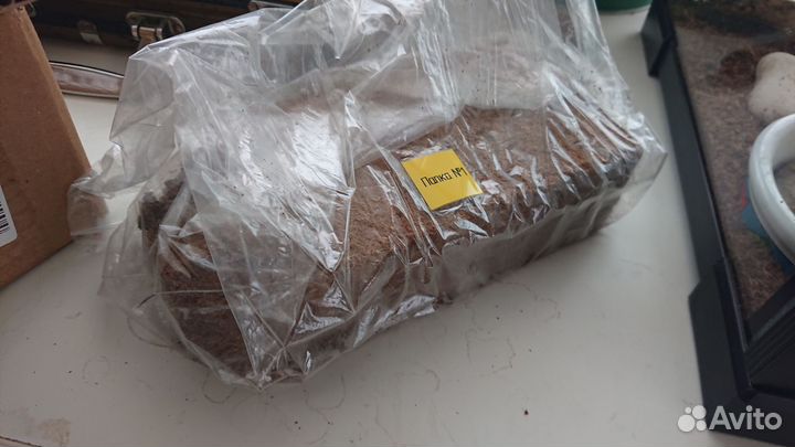 Террариум для рептилий Reptizoo