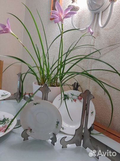 Держатель для тарелочек(нержавейка)