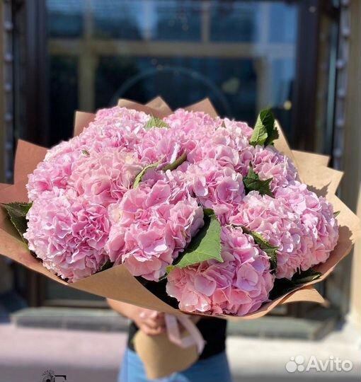 Гортензии с бесплатной доставкой