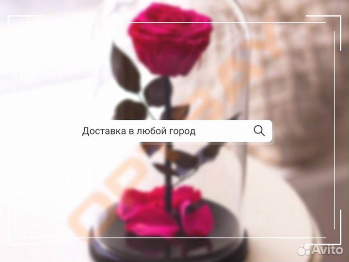 Роза в колбе. Любые размеры