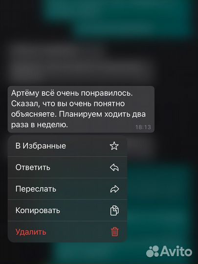 Репетитор по математике. Подготовка огэ/егэ/впр