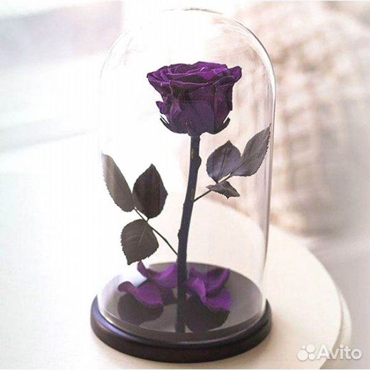 Роза в колбе