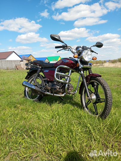 Альфа racer gs