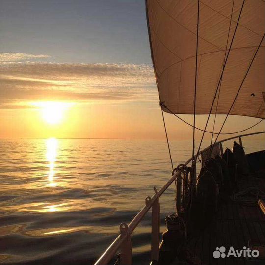 Морские прогулки