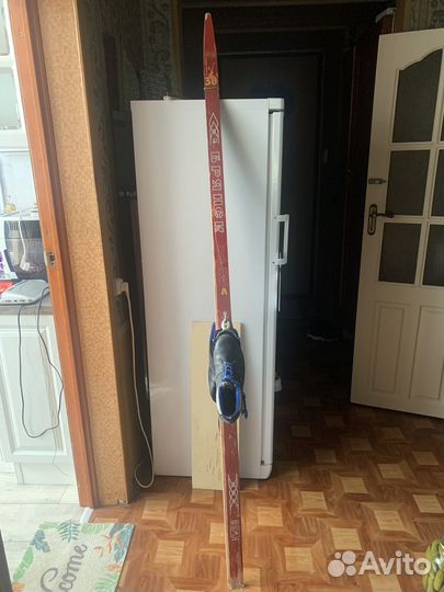 Беговые лыжи