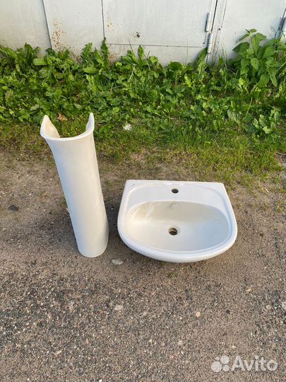 Раковина тюльпан