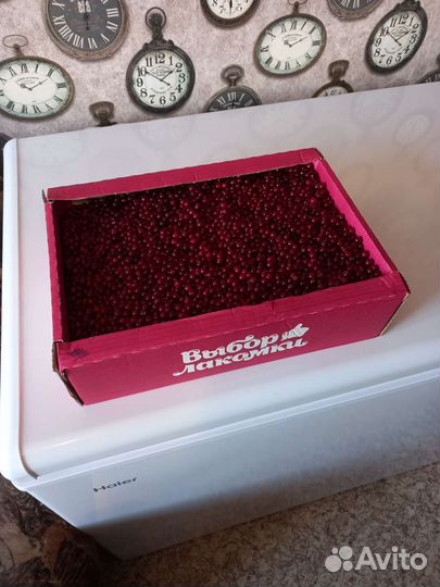 Клюква, брусника