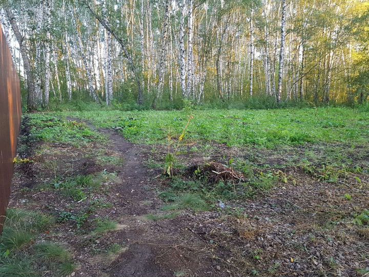 Участок 10 сот. (СНТ, ДНП)