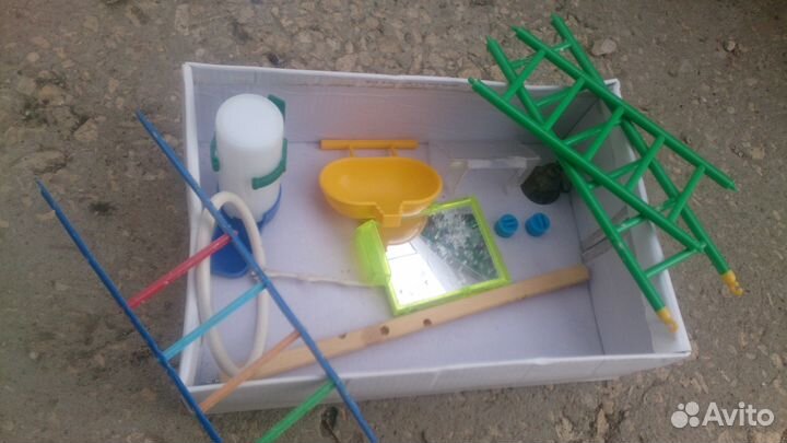 Товары для попугая