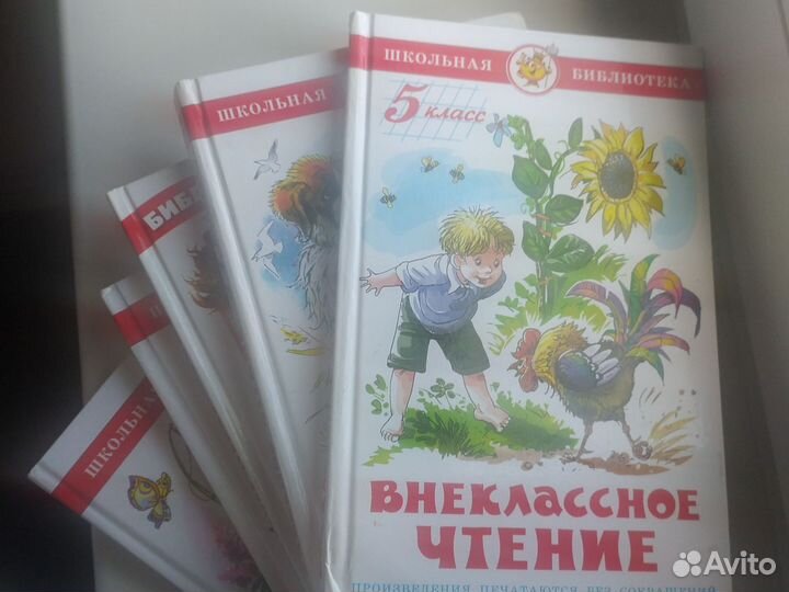Книги для внеклассного чтения