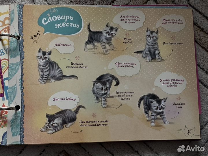 Альбом про моего котенка