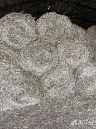 Сено в рулонах 2023