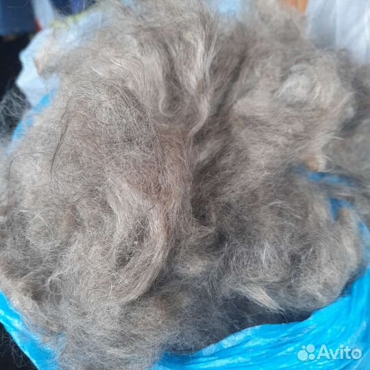 Горно-алтайский козий пух