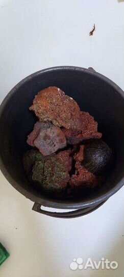 Все для аквариума