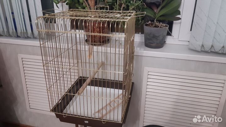 Клетка для попугая