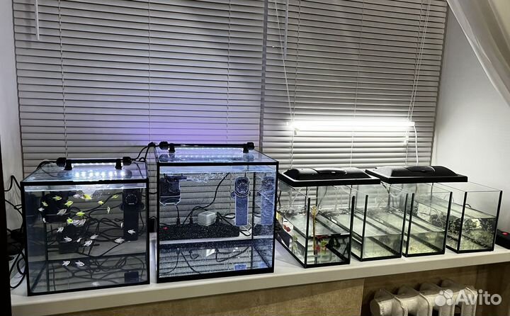Аквариум и приспособления