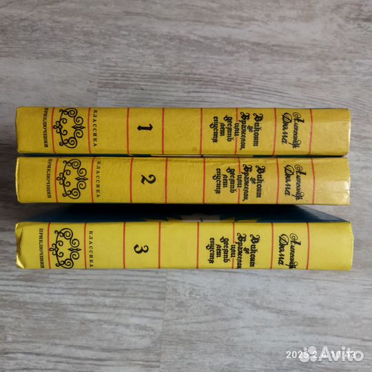 Роман Виконт де Бражелон или десять лет спустя