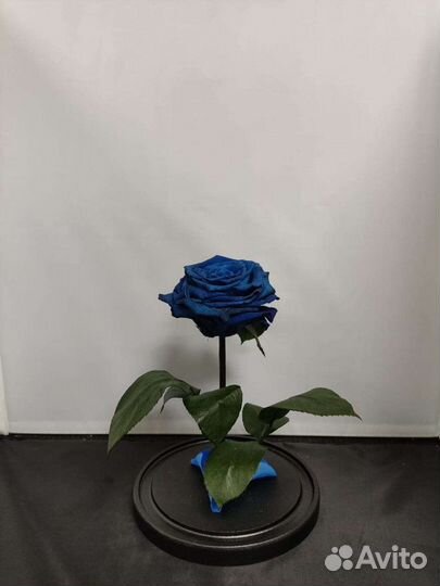 Роза в колбе оптом