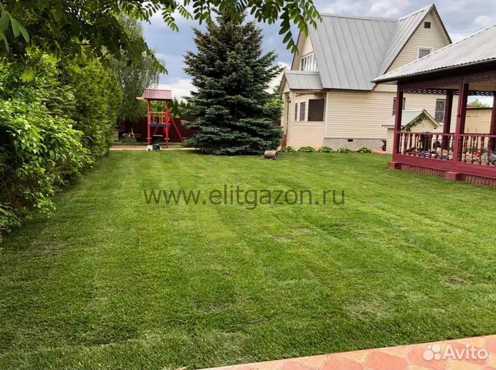 Укладка газона