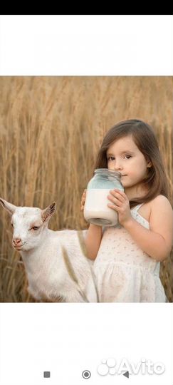 Козье молоко