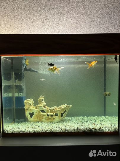 Аквариум