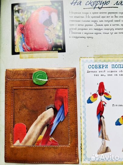 Детские книги Махаон