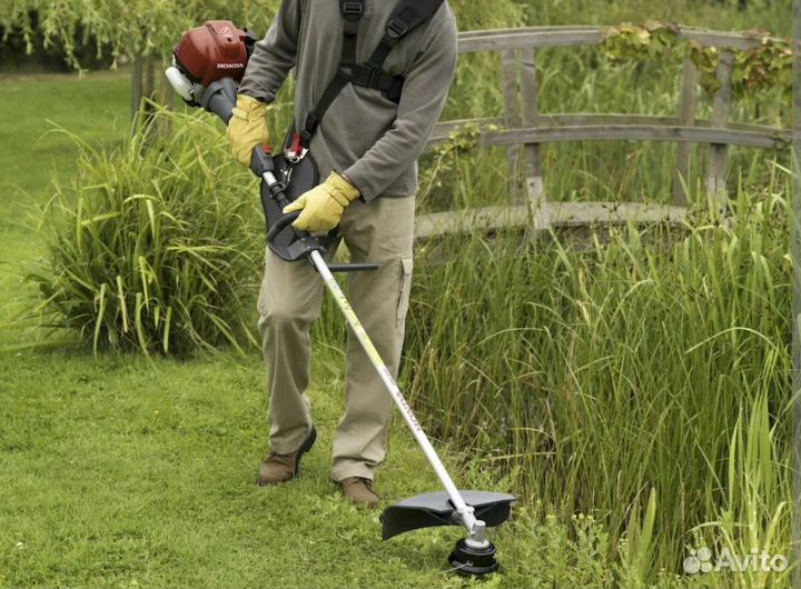 Сад благоустройство