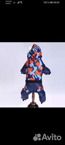 Зимний костюм для собак