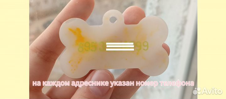 Адресники для собак