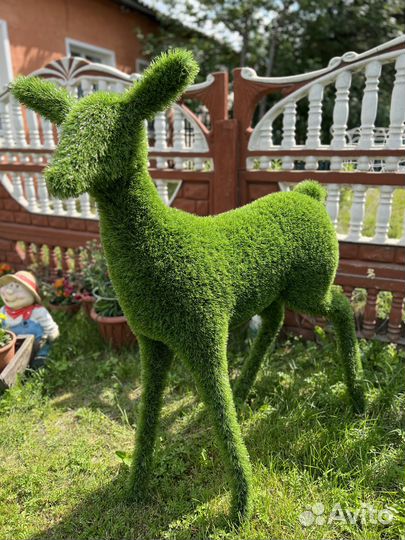 Фигура из топиари